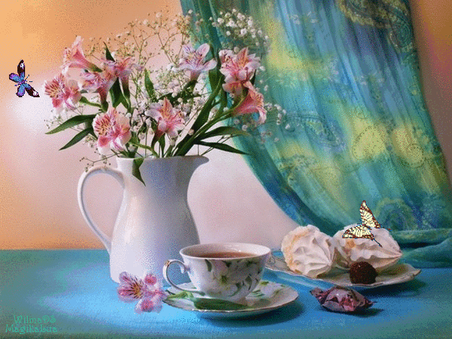 vaso flores e borboletas