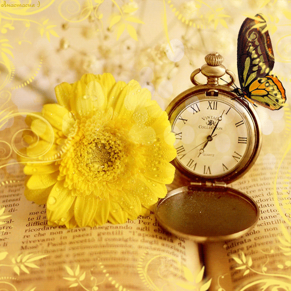 horloge, fleur et papillon